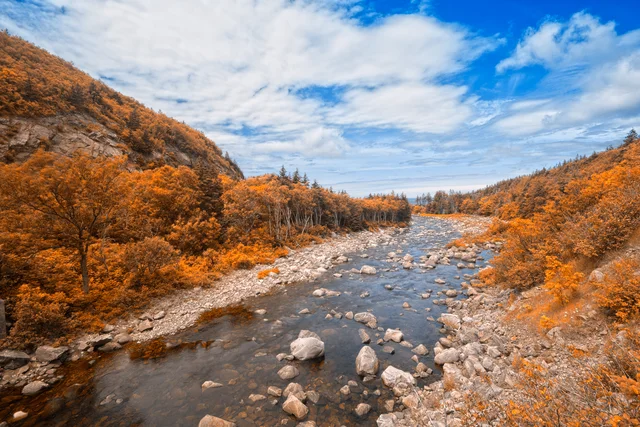 Amber Cabot Trail - HDR.jpg