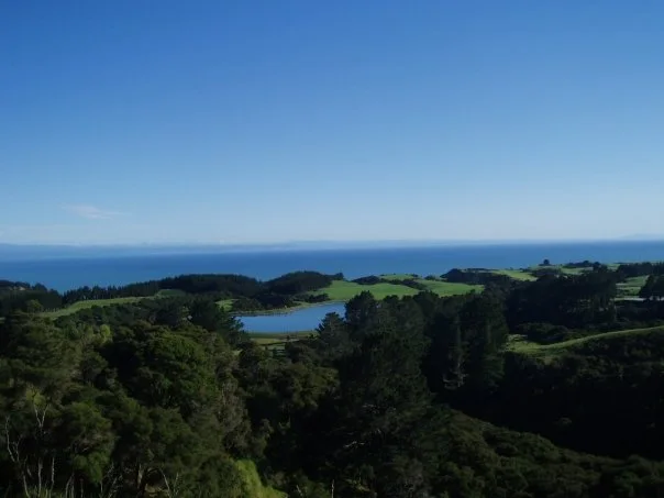 Cape Kidnappers View.jpg